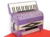 Borsini K9 purple decorated 4 voice double cassotto with new MIDI and microphones